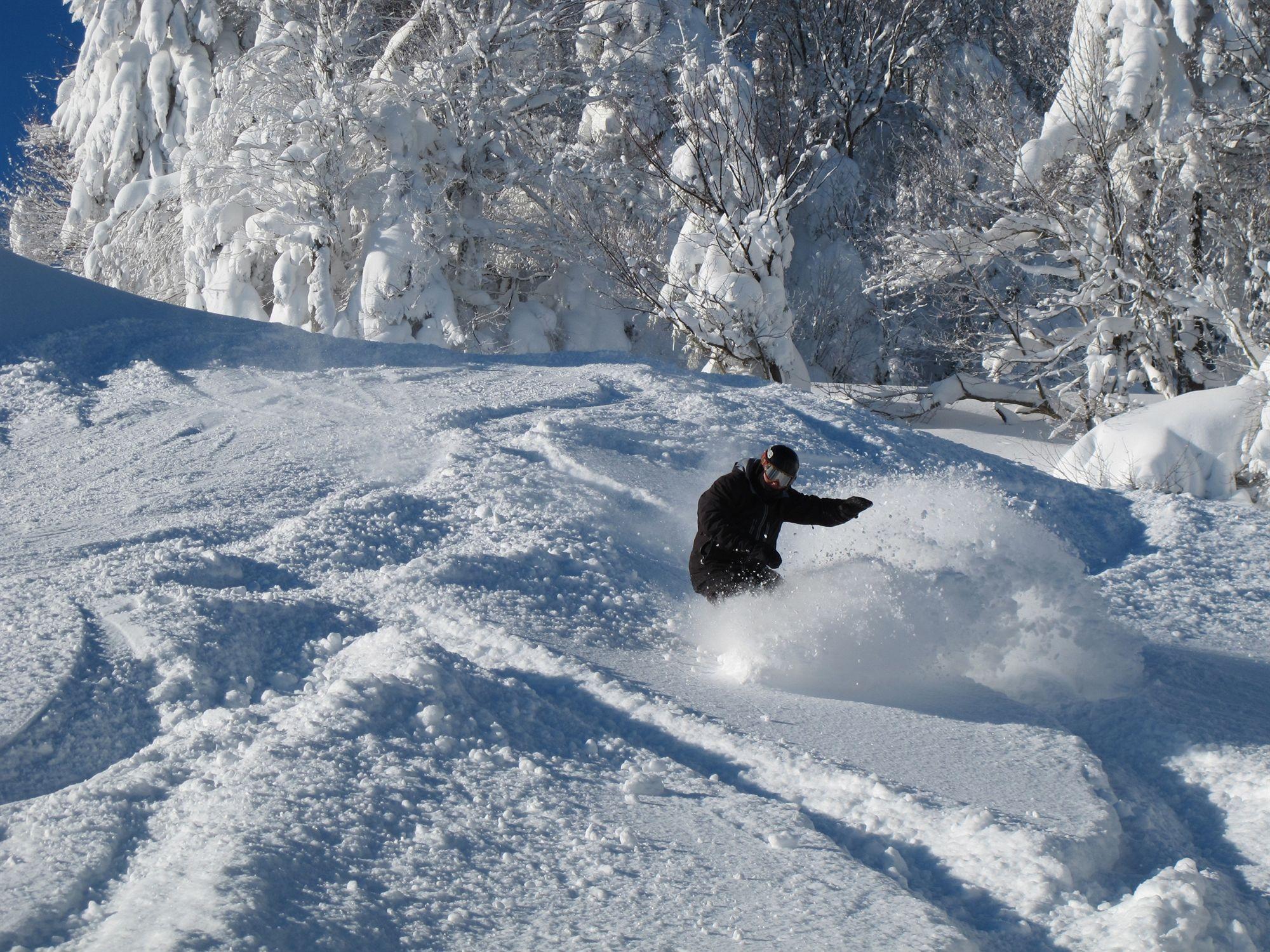 Soaring Eagle Lodge Snowshoe Εξωτερικό φωτογραφία